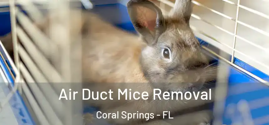 Air Duct Mice Removal Coral Springs - FL