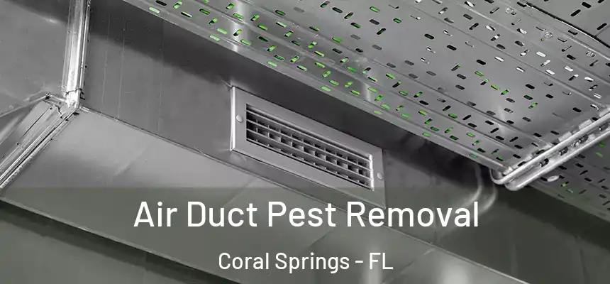 Air Duct Pest Removal Coral Springs - FL