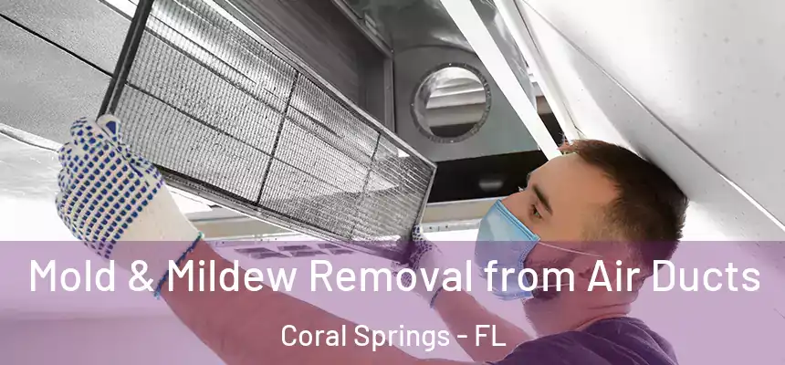 Mold & Mildew Removal from Air Ducts Coral Springs - FL