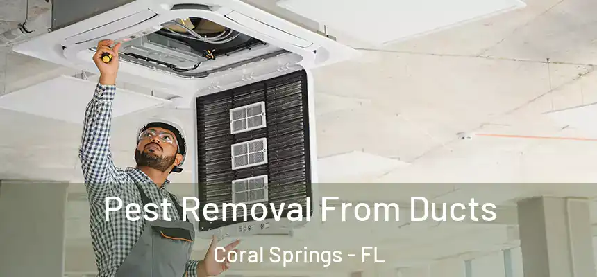 Pest Removal From Ducts Coral Springs - FL