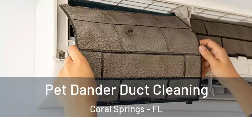 Pet Dander Duct Cleaning Coral Springs - FL