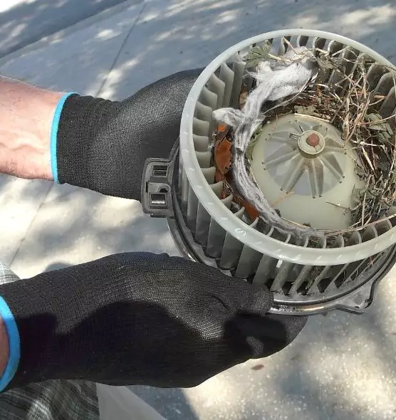 About Air Duct Rat Removal in Coral Springs, FL