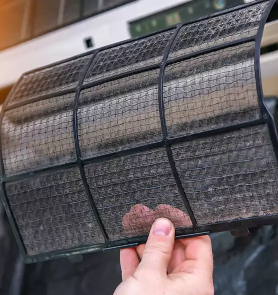 About Pet Dander Duct Cleaning in Coral Springs, FL